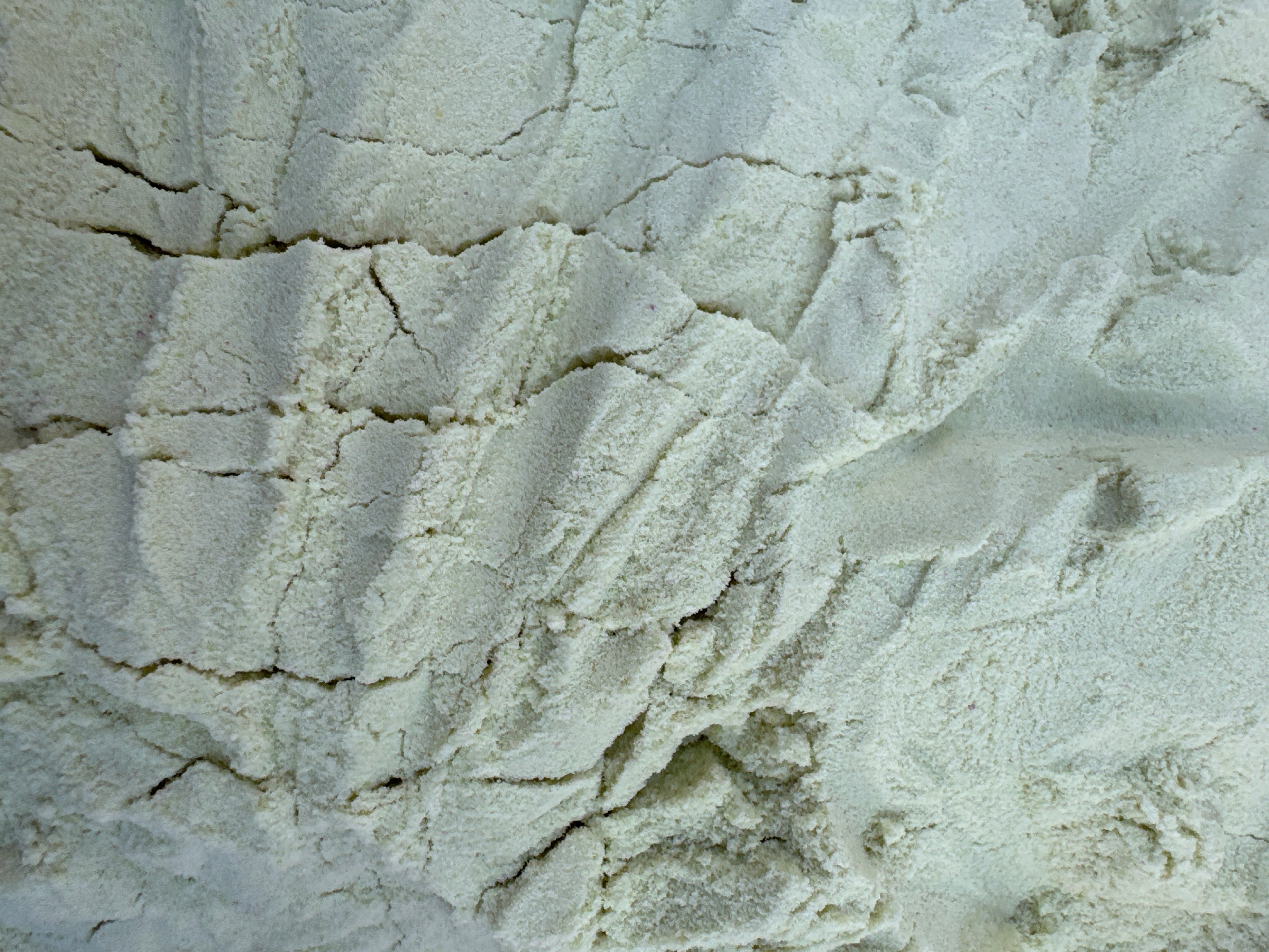 Cheese powder (ground down yaks)