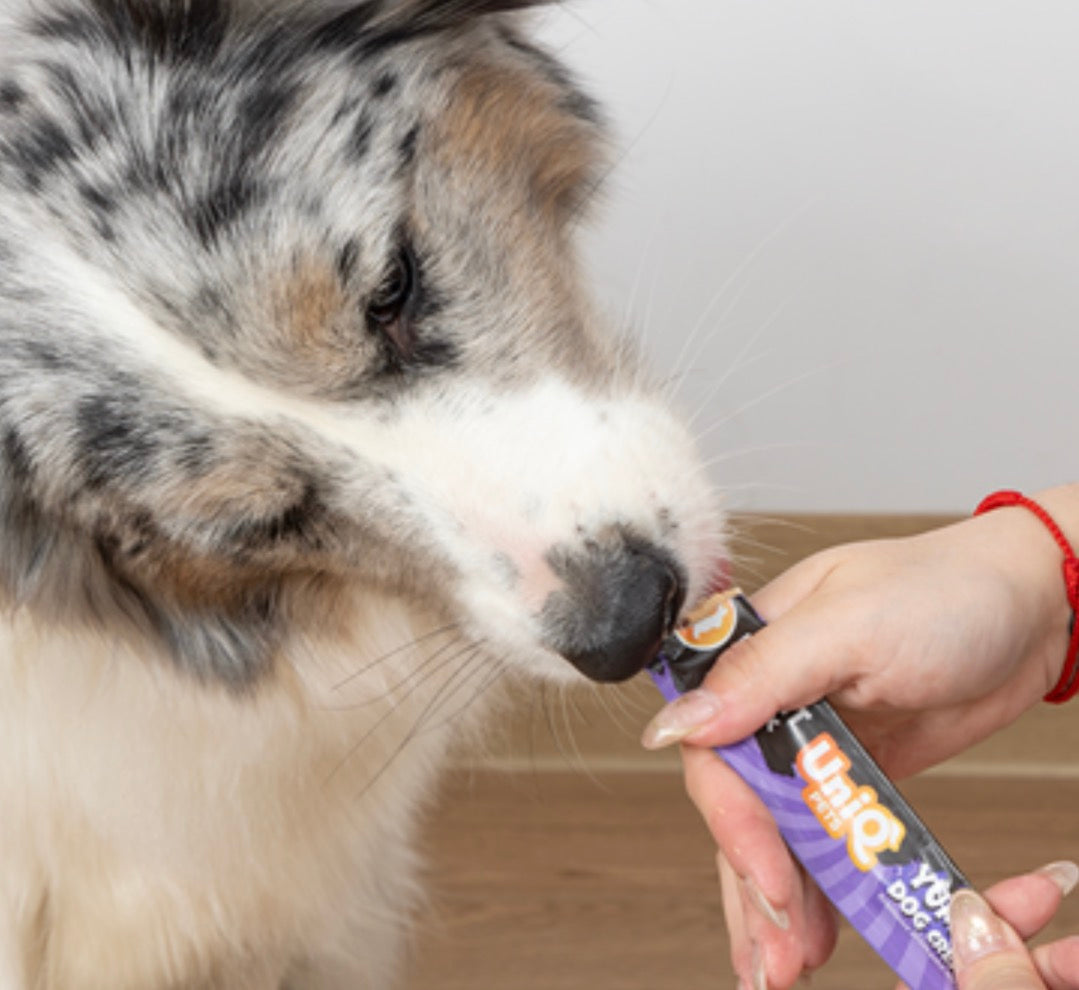 Rabbit cream for dogs