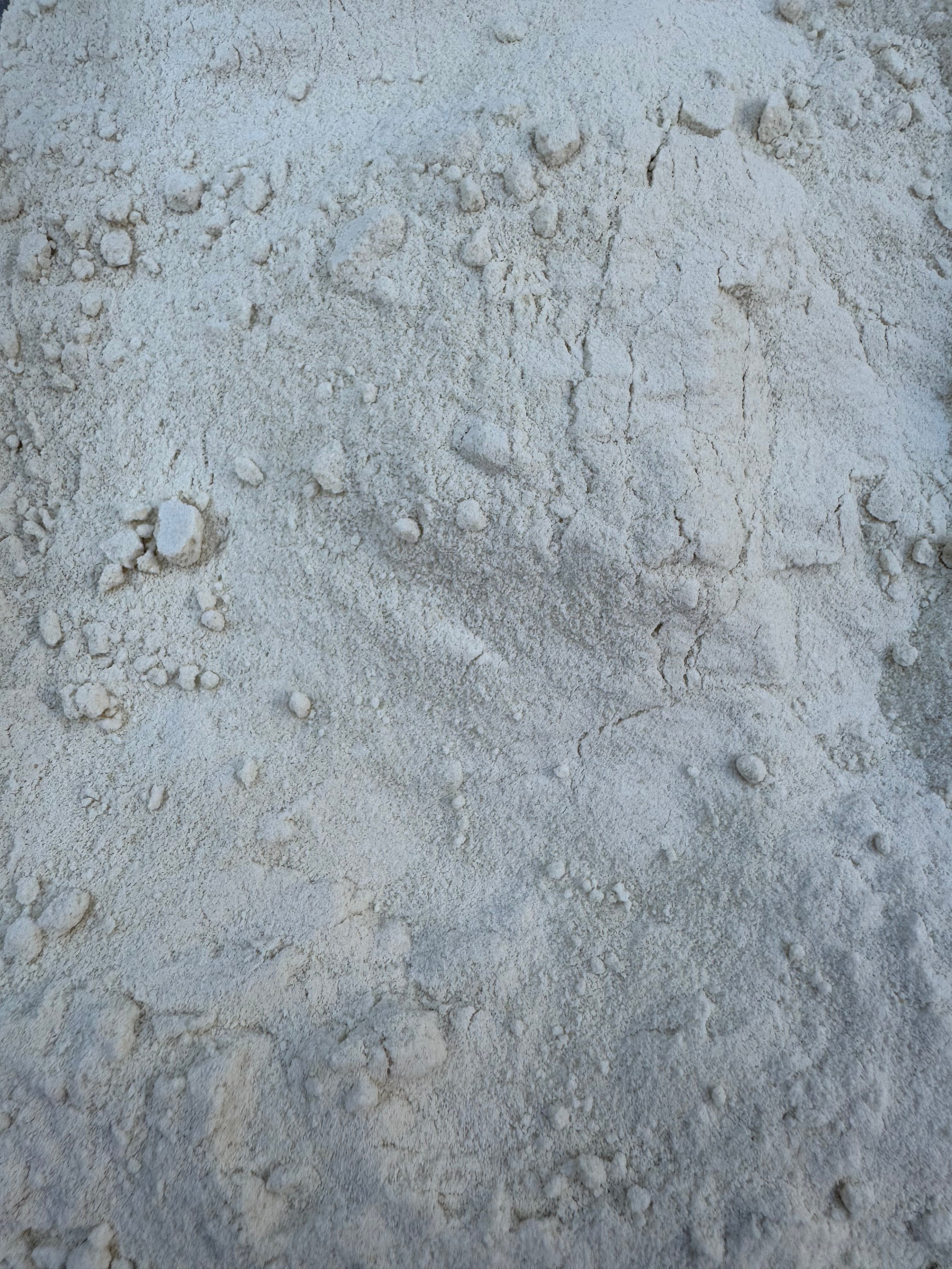 Cheese powder (ground down yaks)